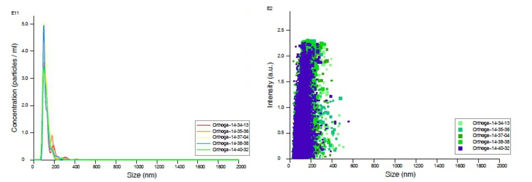 NTA assay results: particle concentration by size, and intensity by size scatter plot